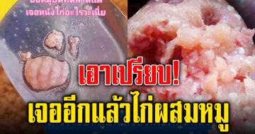 เจออีกแล้ว หมูบดผมสกับเศษไก่